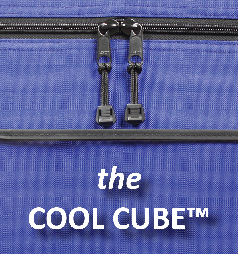 The Future of Temperature Control The Future of Temperature Control