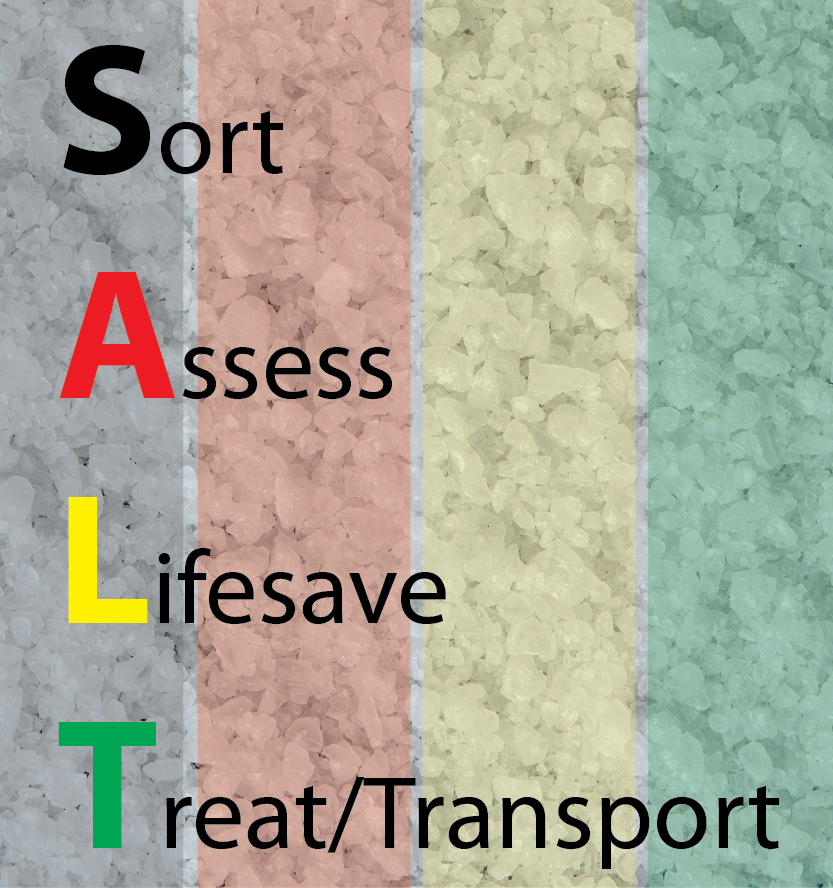Triage Like a Pro with SALT