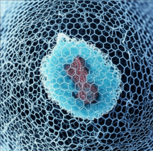 hydrogel cloak for Vaccines