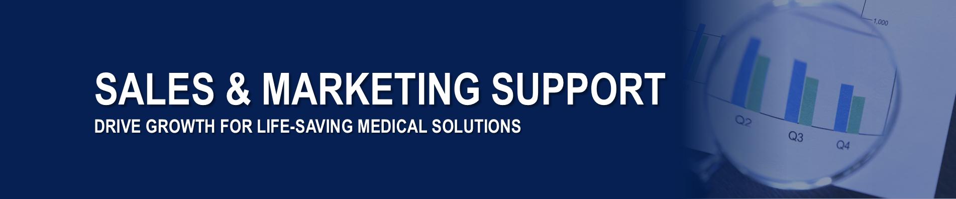 Sales & Marketing Support