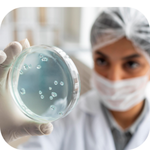 Lab technician viewing microbes on a petri dish